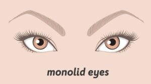 Monolid Eyelid Shape