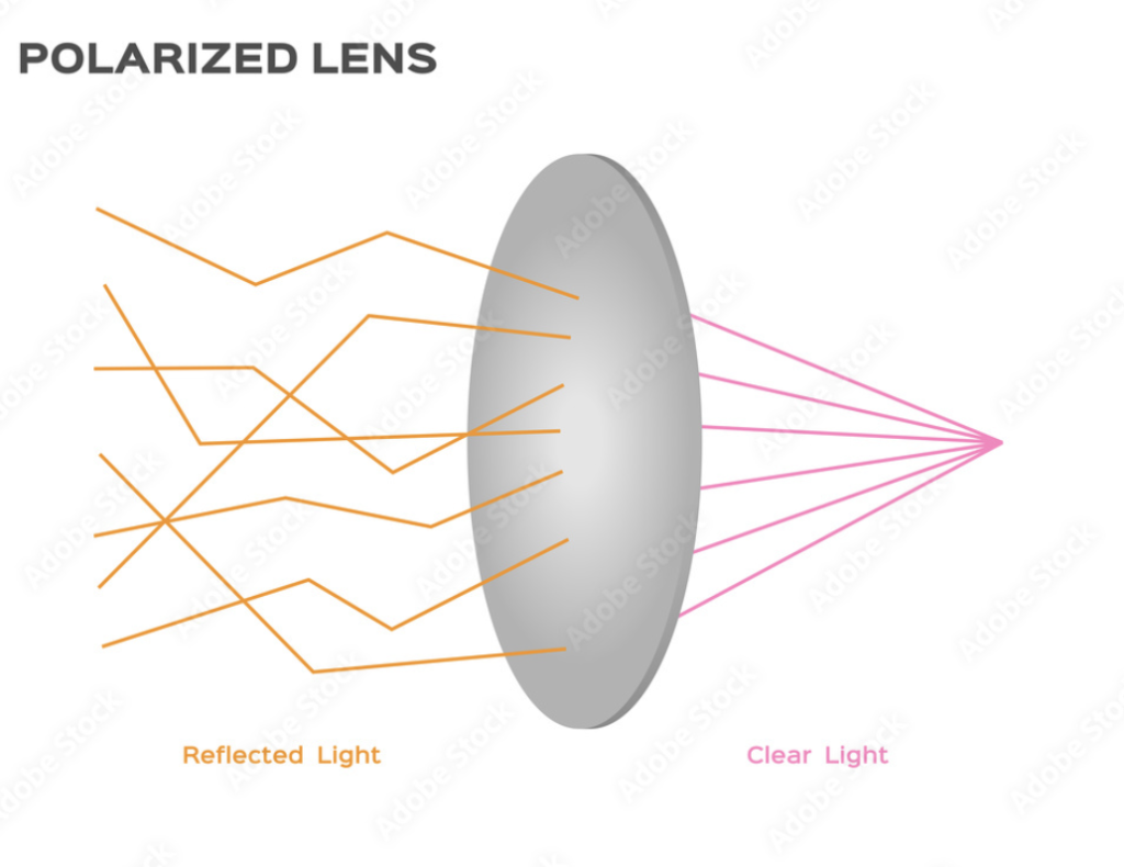 Polarized lens illustration of reflected light vs clear light