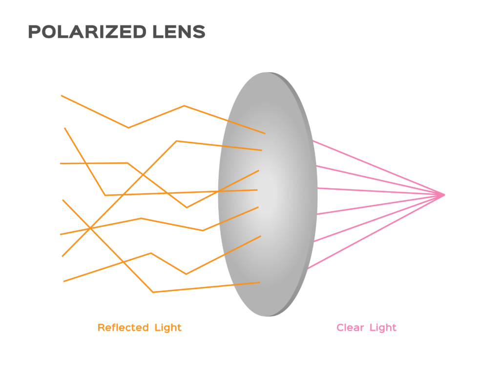 polarized sunglass